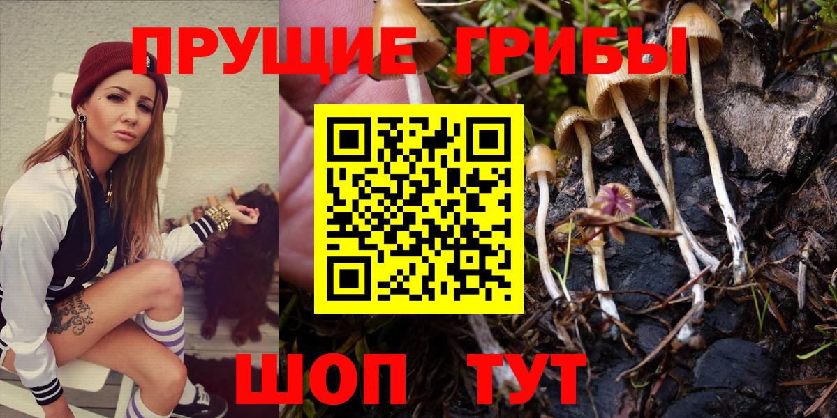 Галлюциногенные грибы MAGIC MUSHROOMS  Вход с VPN  Ростов-на-Дону  Галлюциногенные грибы Psilocybe 