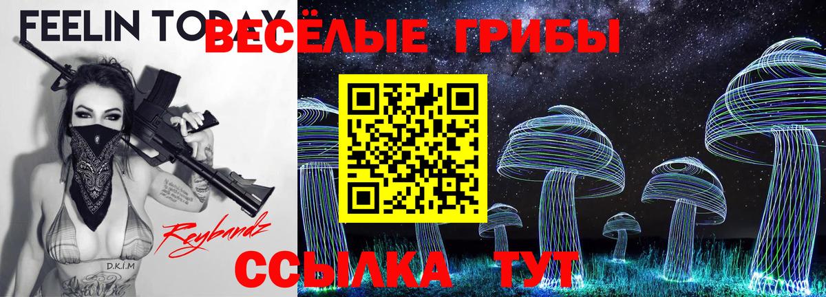 Галлюциногенные грибы Magic Shrooms Ростов-на-Дону